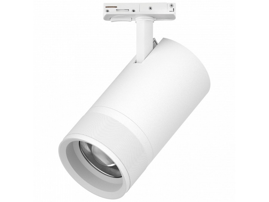 Светильник на штанге Lightstar Canno Pro C4406SS