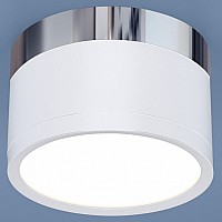 Накладной светильник Elektrostandard Dlr029 a040667