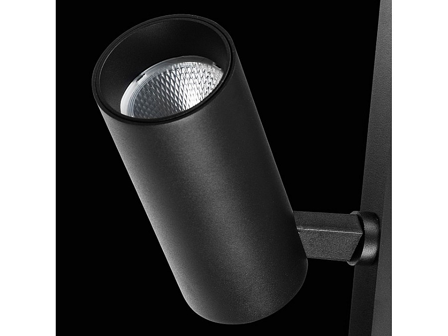 Светильник на штанге Lightstar Teta 205037R