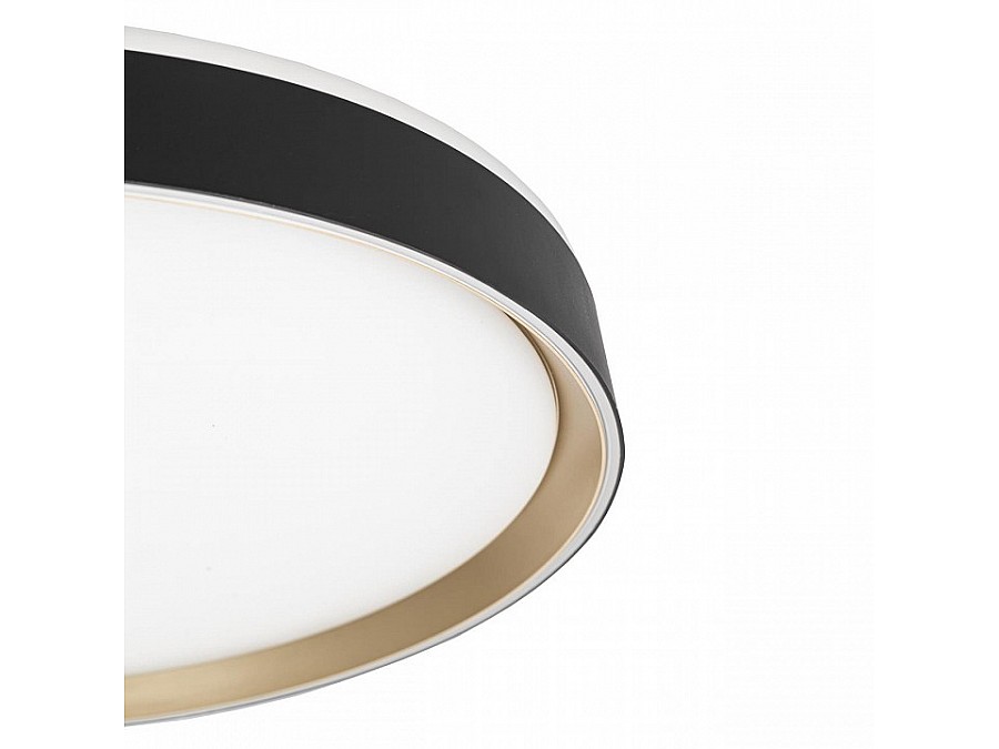 Накладной светильник Citilux BOSS CL751451G