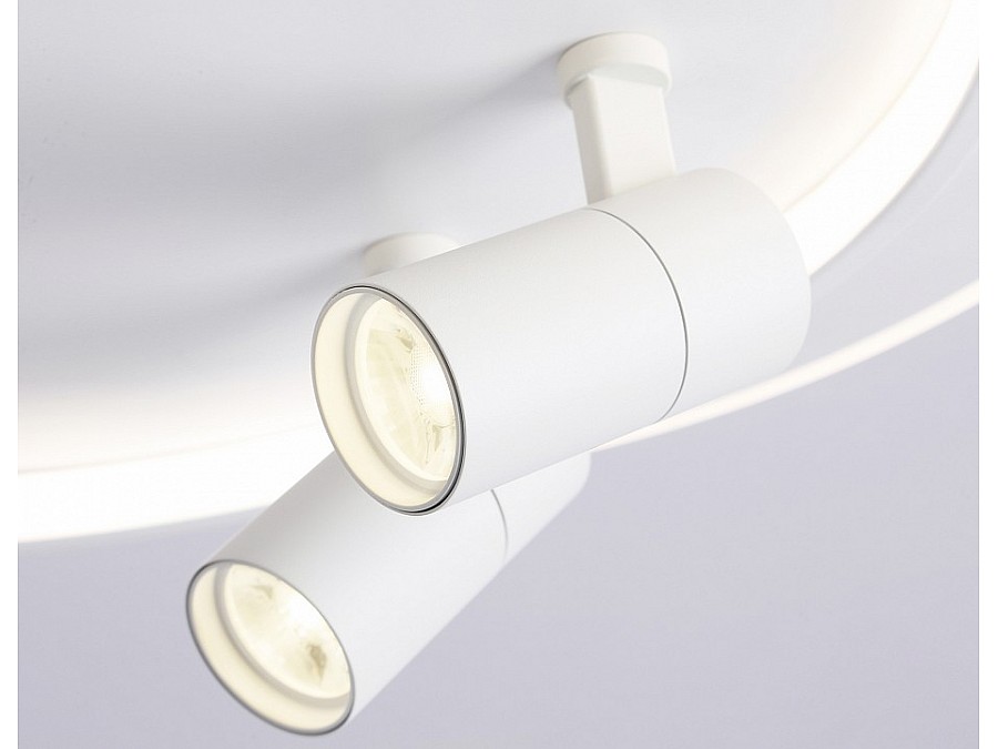 Накладной светильник Ambrella Light FL FL51391