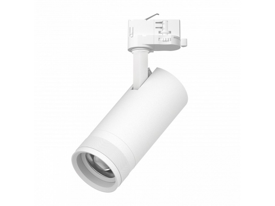 Светильник на штанге Lightstar Canno Pro C4206QT