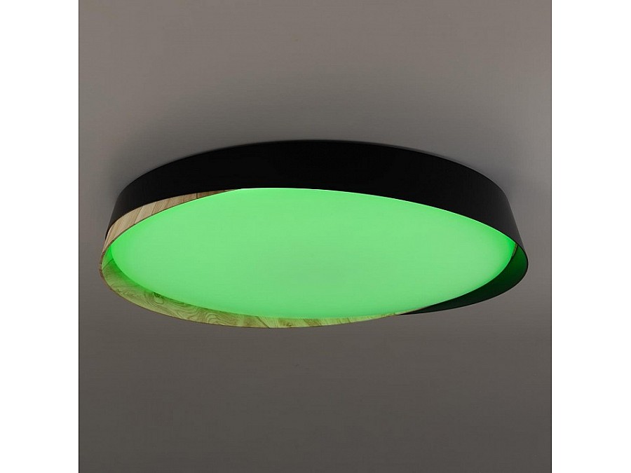 Накладной светильник Citilux BONNY CL754451G