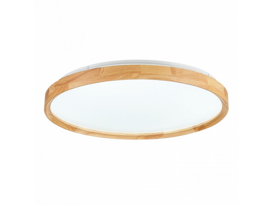 Накладной светильник EVOLUCE DELIA SLE201382-01