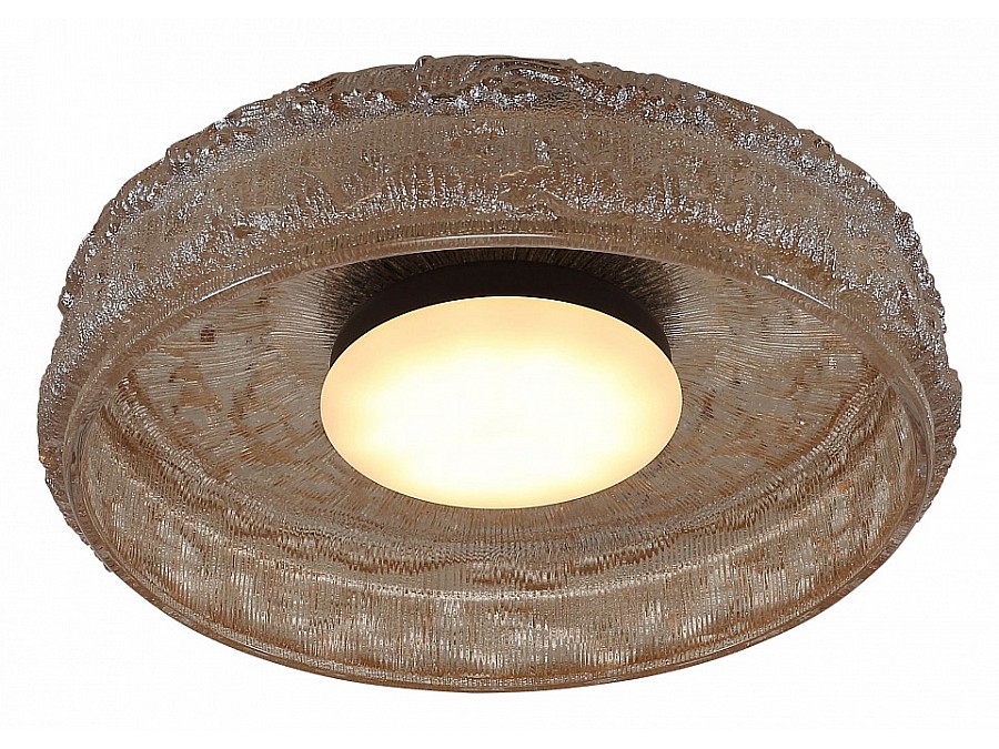 Накладной светильник ST-Luce ANTIKE SL6143.422.01