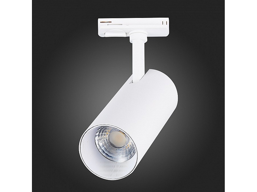 Светильник на штанге ST-Luce Mono ST350.536.20.36