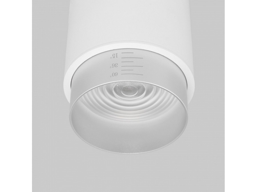 Накладной светильник Elektrostandard Cors 25032/LED