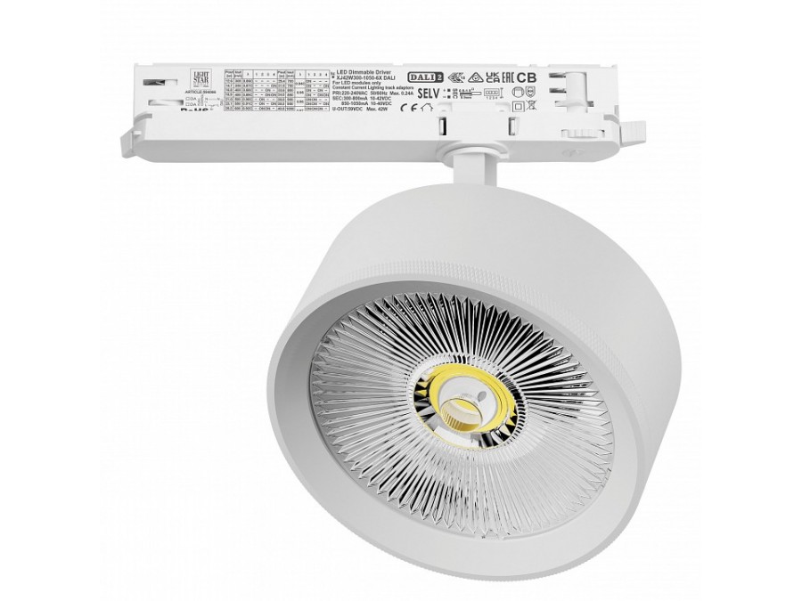 Светильник на штанге Lightstar Alta Pro A5736DALI