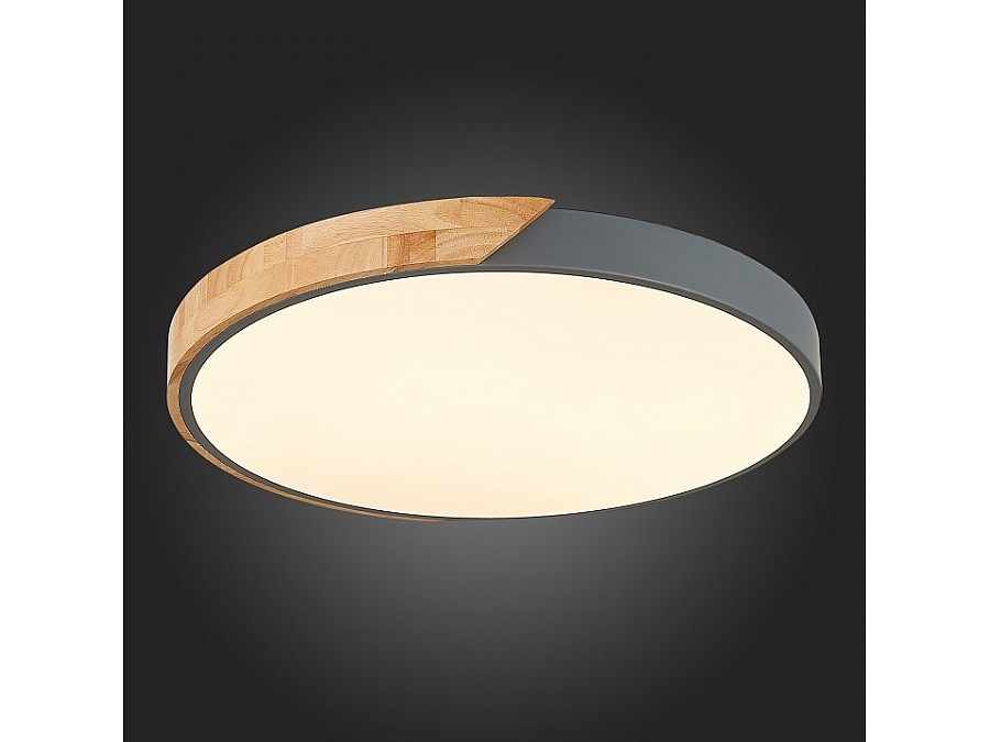 Накладной светильник EVOLUCE Festa SLE200972-01