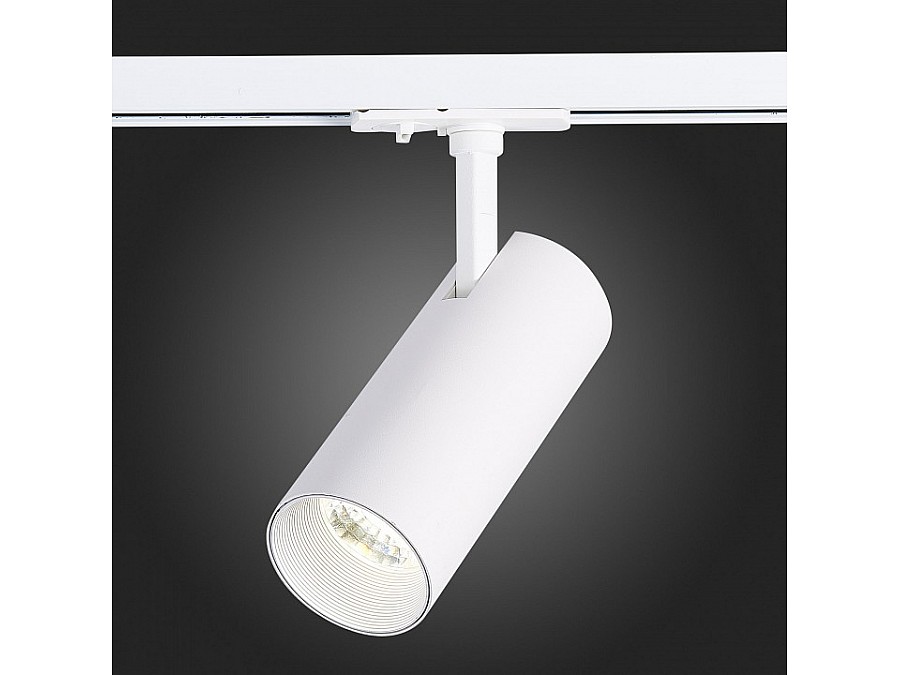 Светильник на штанге ST-Luce Mono ST350.546.20.36