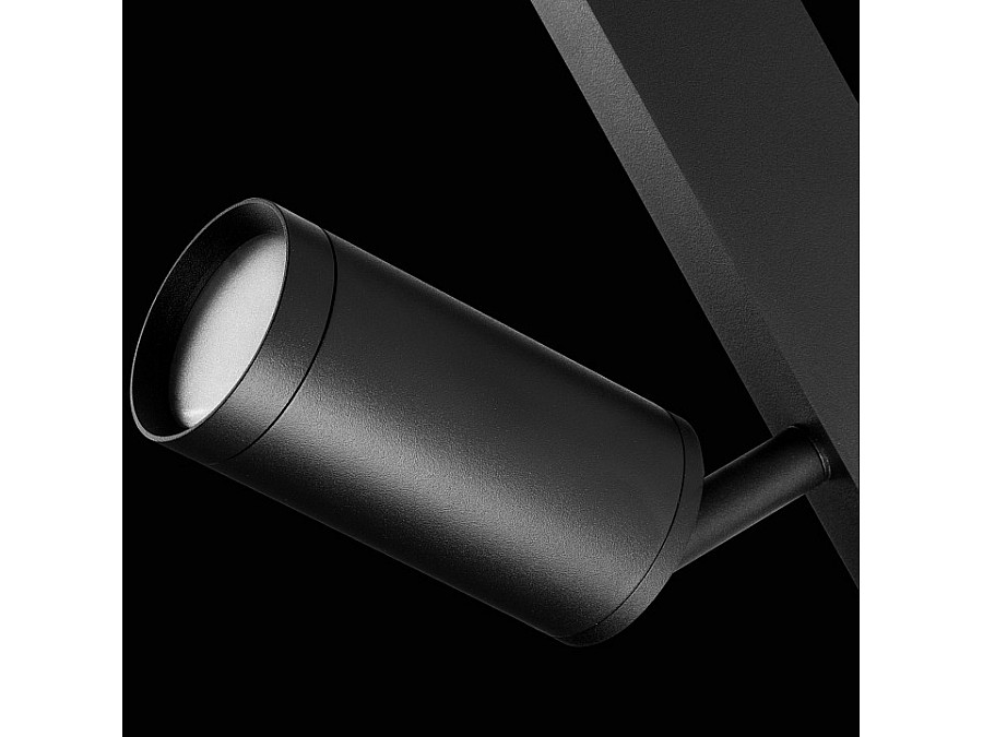 Светильник на штанге Lightstar Teta 205027R