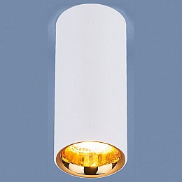 Накладной светильник Elektrostandard DLR030 a040669