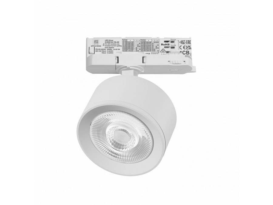 Светильник на штанге Lightstar Alta Pro A5546QT60G