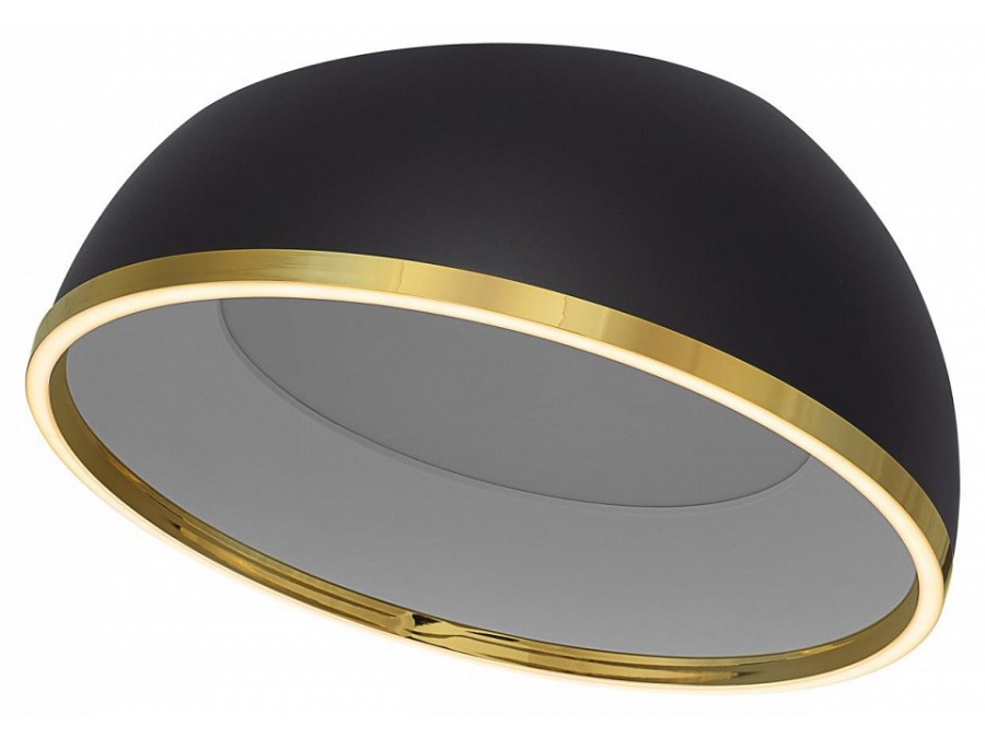 Накладной светильник Citilux FLOOM CL736151