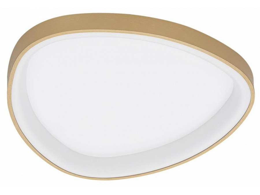 Накладной светильник Citilux GENKA SMART CL756A142