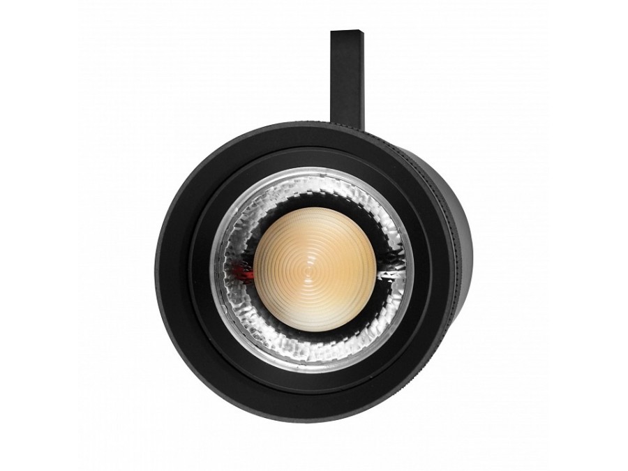 Светильник на штанге Lightstar Canno Pro 304407
