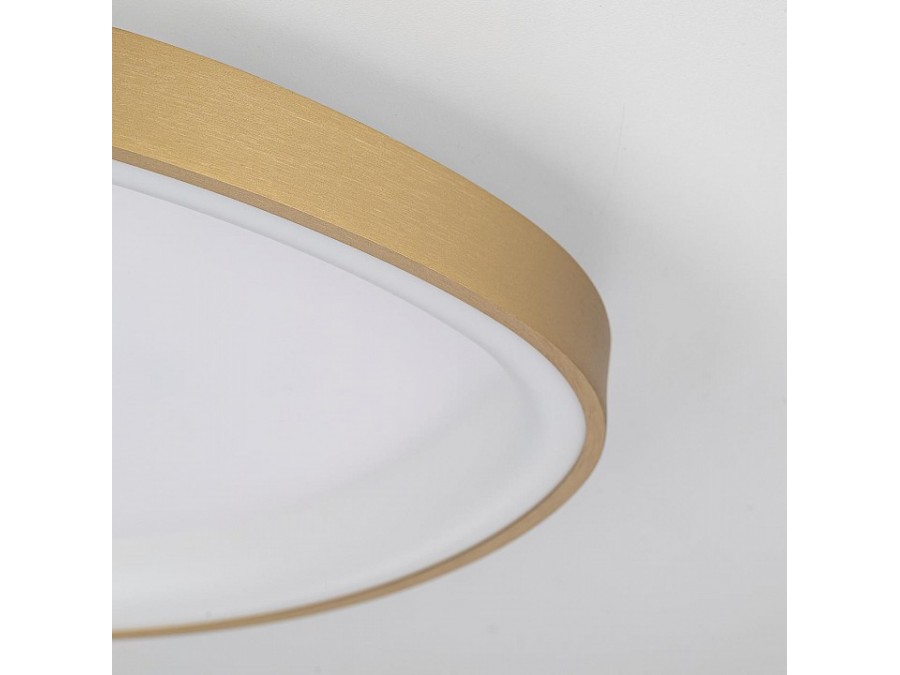 Накладной светильник Citilux GENKA SMART CL756A142