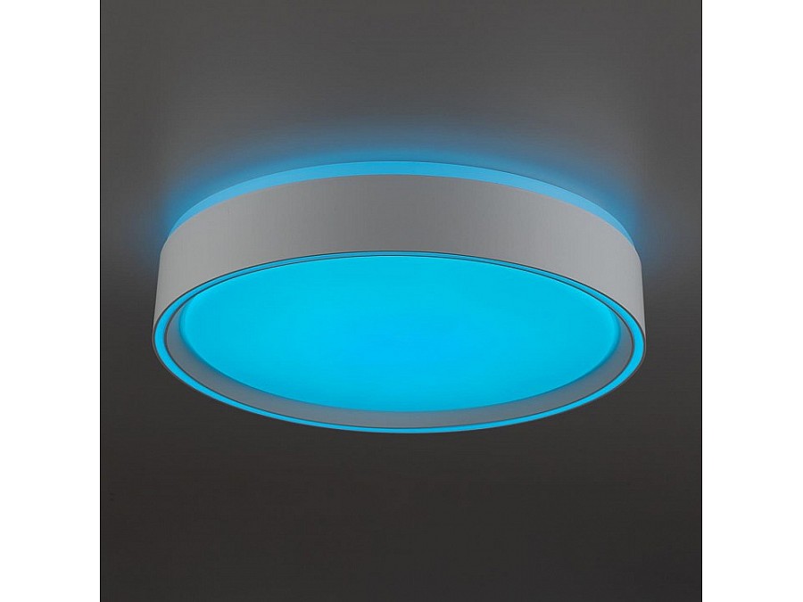 Накладной светильник Citilux BOSS CL751250G