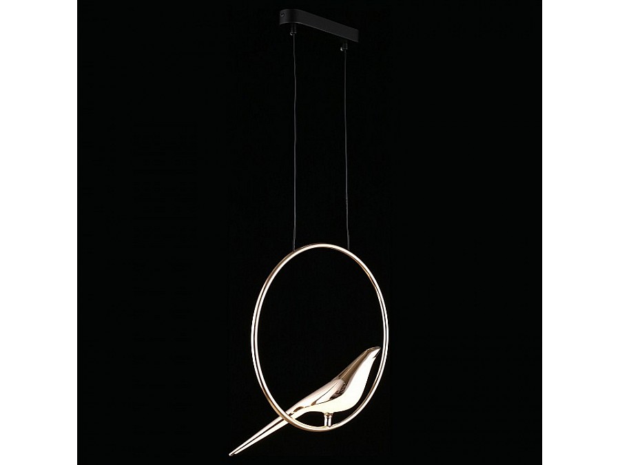 Подвесной светильник Aployt Astor APL.822.06.10