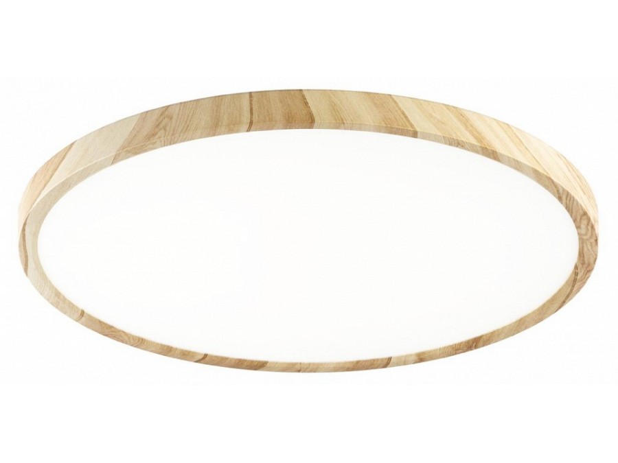 Накладной светильник Citilux Бейсик CL738322V