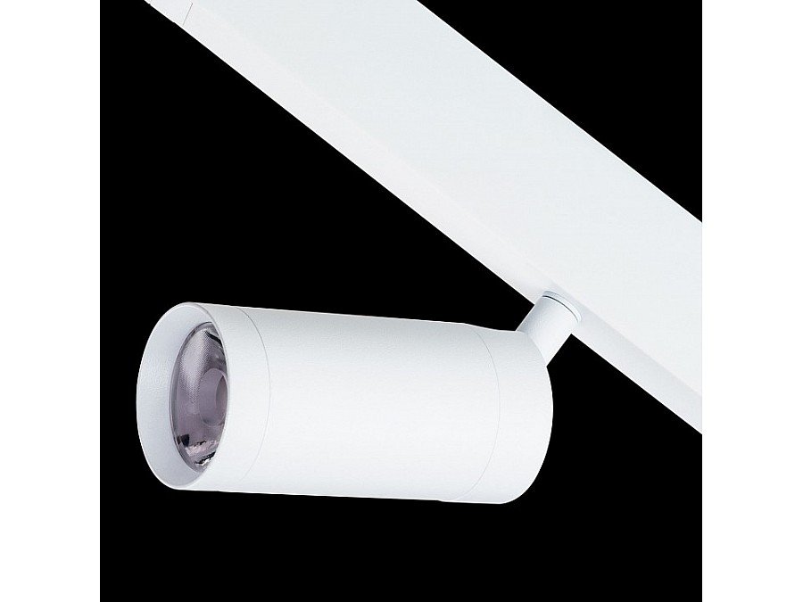 Светильник на штанге Lightstar Teta 205026
