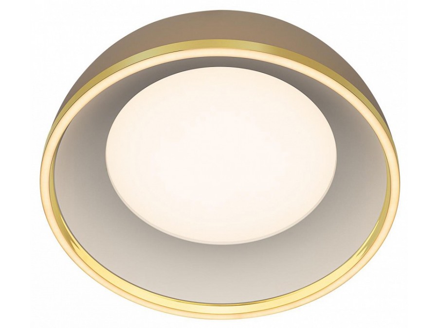 Накладной светильник Citilux FLOOM CL736152