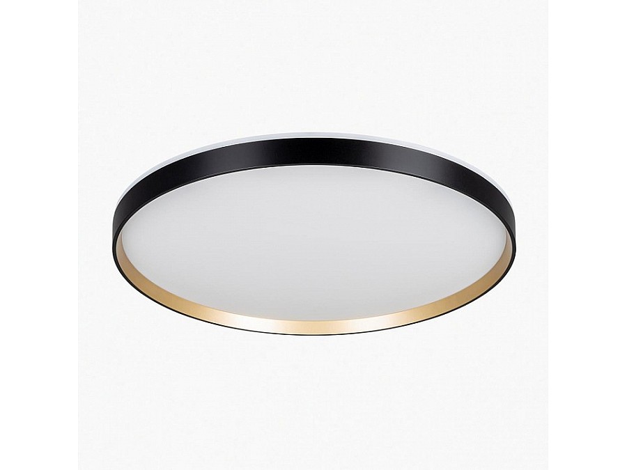 Накладной светильник Citilux ETALON CL750501R