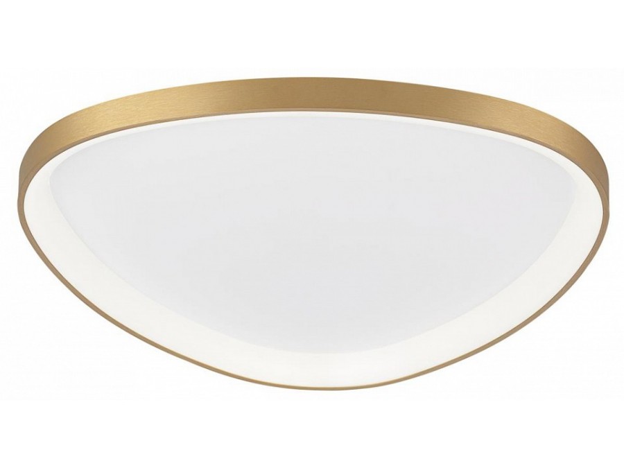 Накладной светильник Citilux GENKA SMART CL756A162