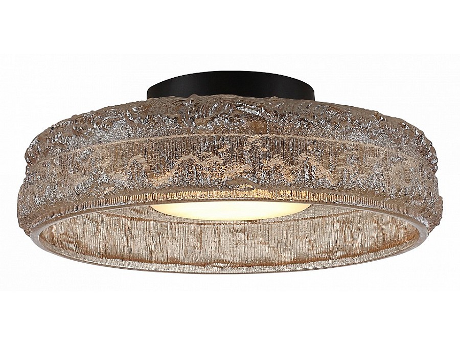 Накладной светильник ST-Luce ANTIKE SL6143.422.01
