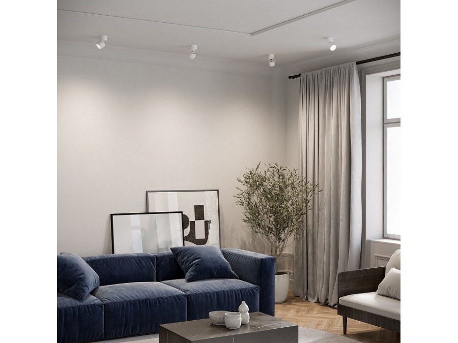 Накладной светильник Elektrostandard Rolly a067487