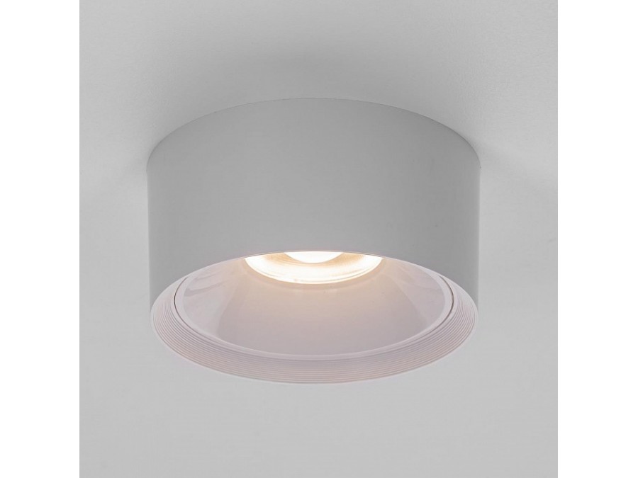 Накладной светильник Citilux Rover CL743090N