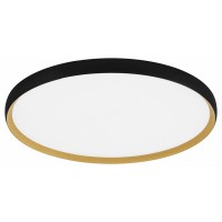 Накладной светильник EVOLUCE HELST SLE1810-402-01