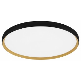 Накладной светильник EVOLUCE HELST SLE1810-402-01