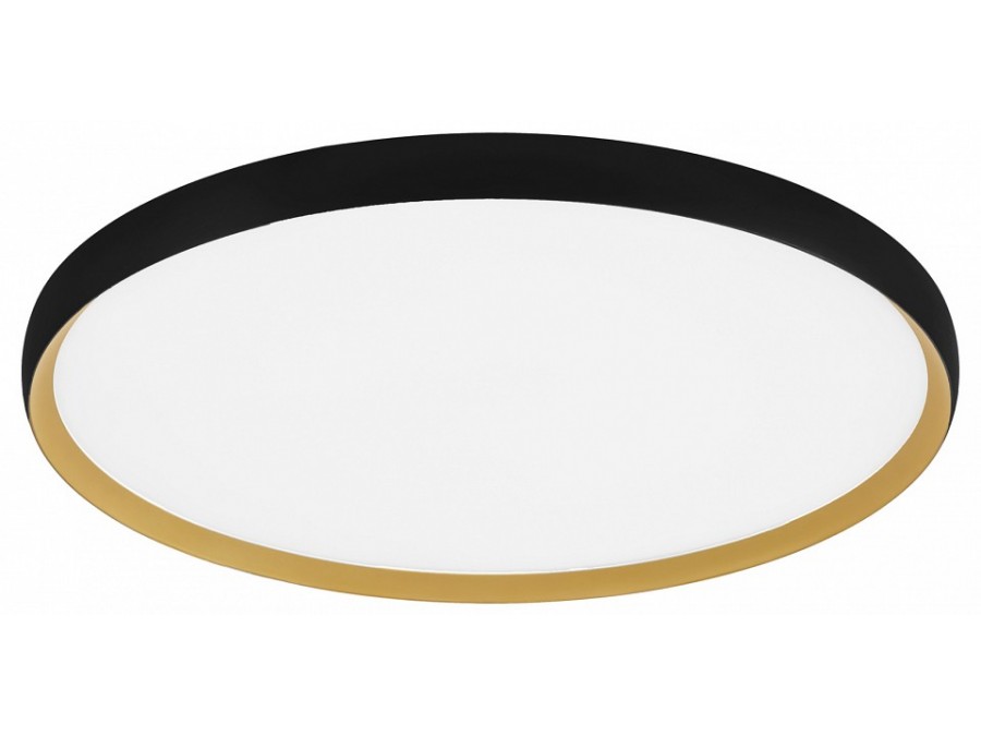 Накладной светильник EVOLUCE HELST SLE1810-402-01