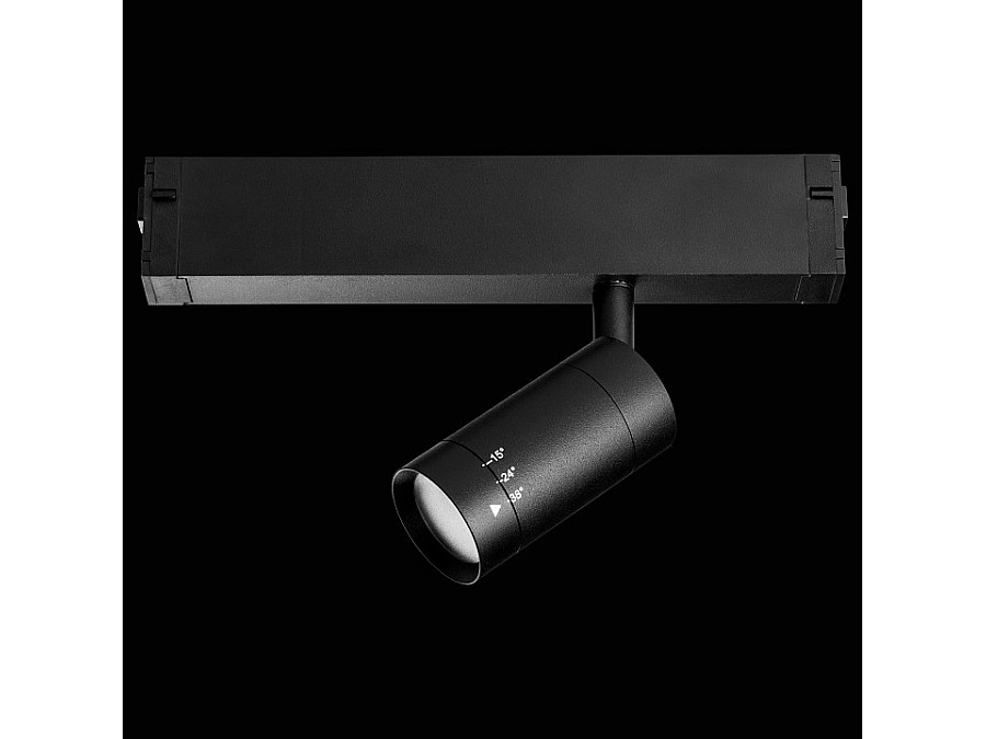 Светильник на штанге Lightstar Teta 205017R