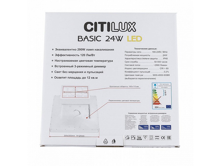 Накладной светильник Citilux Бейсик CL738K242V