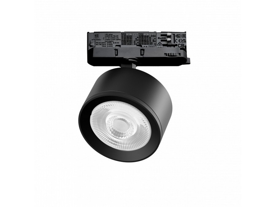 Светильник на штанге Lightstar Alta Pro A5537QT60G