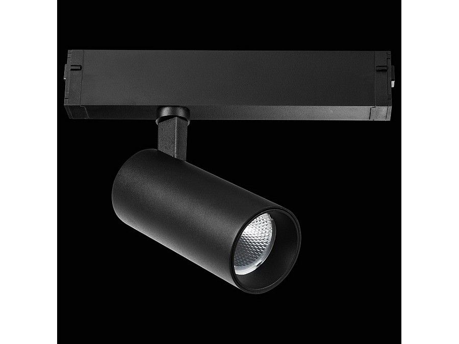 Светильник на штанге Lightstar Teta 205037R