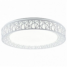 Накладной светильник TopLight Diana TL1204X-72WH