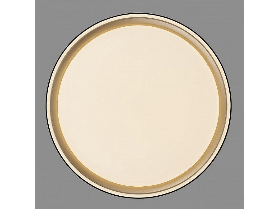 Накладной светильник Citilux BOSS CL751251G