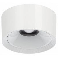 Накладной светильник Citilux Rover CL743060N