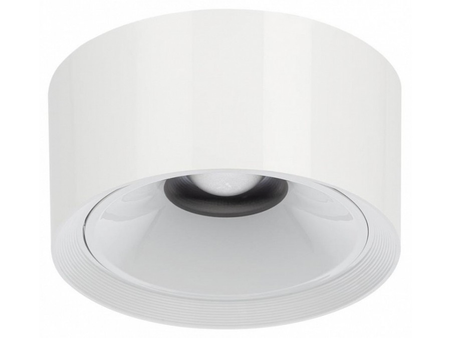 Накладной светильник Citilux Rover CL743060N