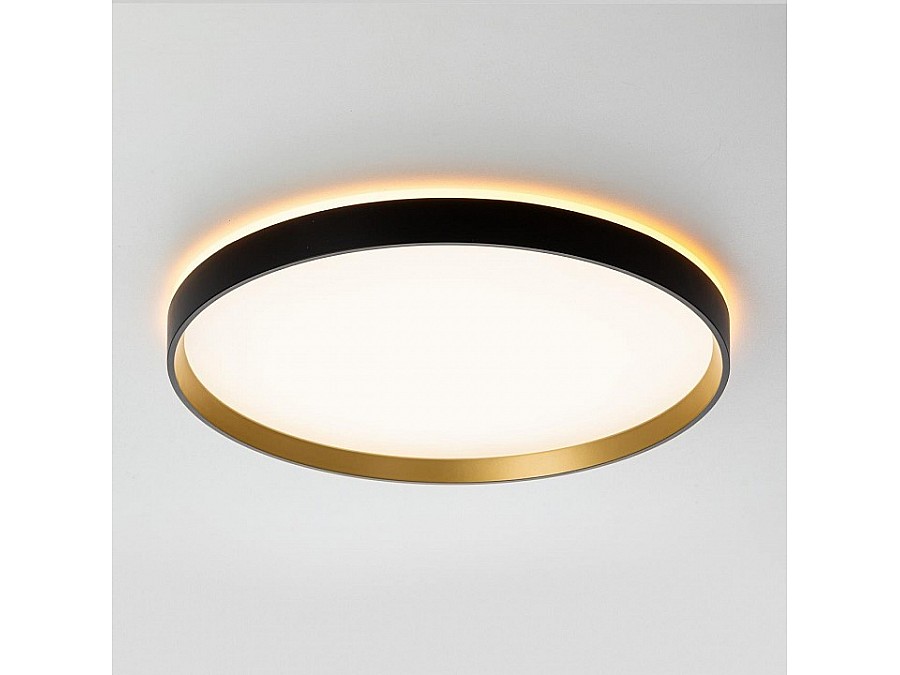 Накладной светильник Citilux ETALON CL750401R