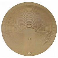 Накладной светильник ST-Luce Fossil SL6900.501.16