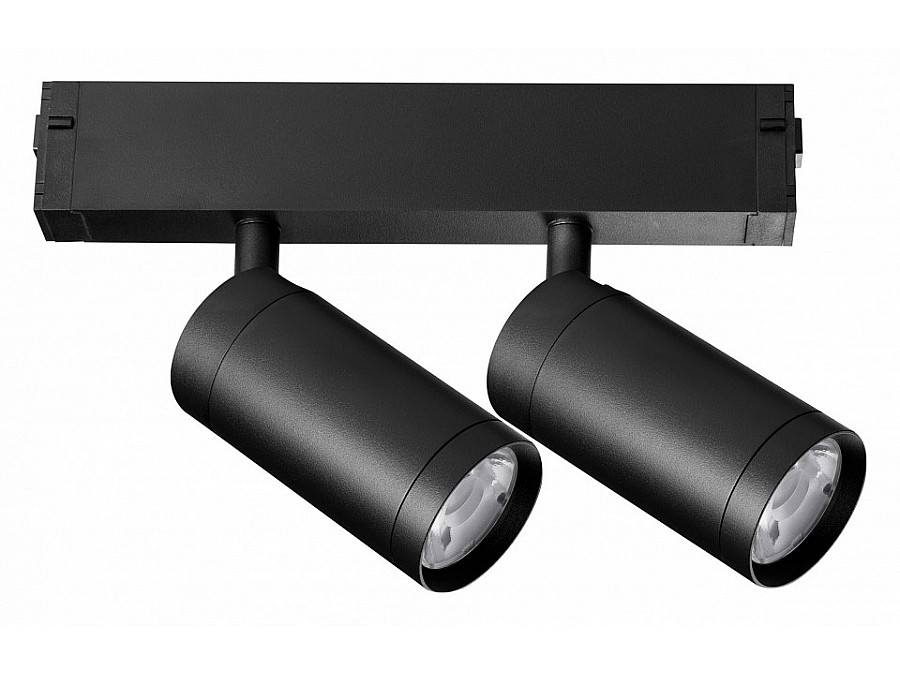 Светильник на штанге Lightstar Teta 205507