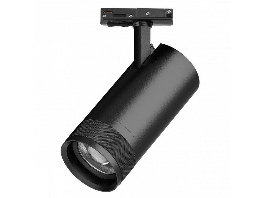 Светильник на штанге Lightstar Canno Pro C4307SS