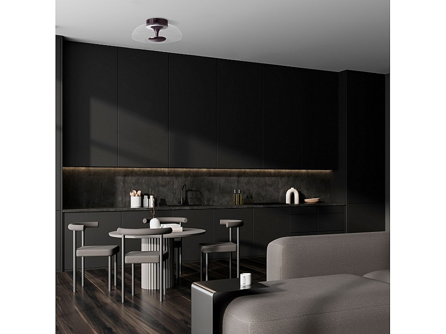 Накладной светильник Lightstar Celesta 809200