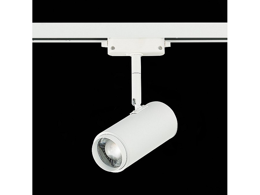 Светильник на штанге ST-Luce Zoom ST600.546.12