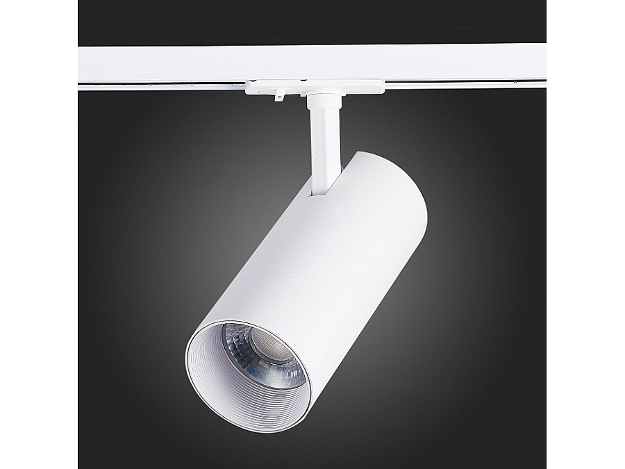 Светильник на штанге ST-Luce Mono ST350.536.30.36