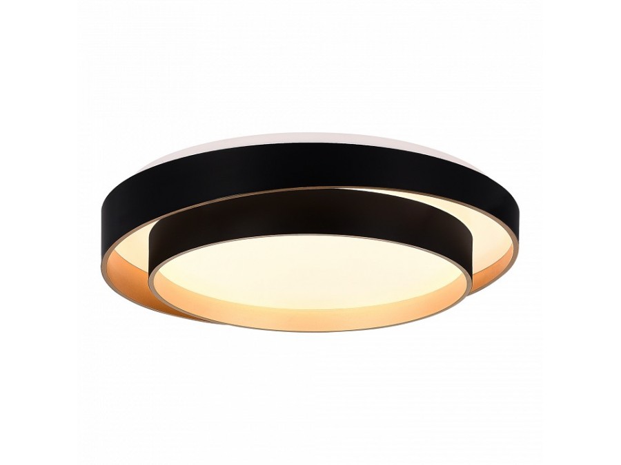 Накладной светильник EVOLUCE Crosby SLE6009-402-01